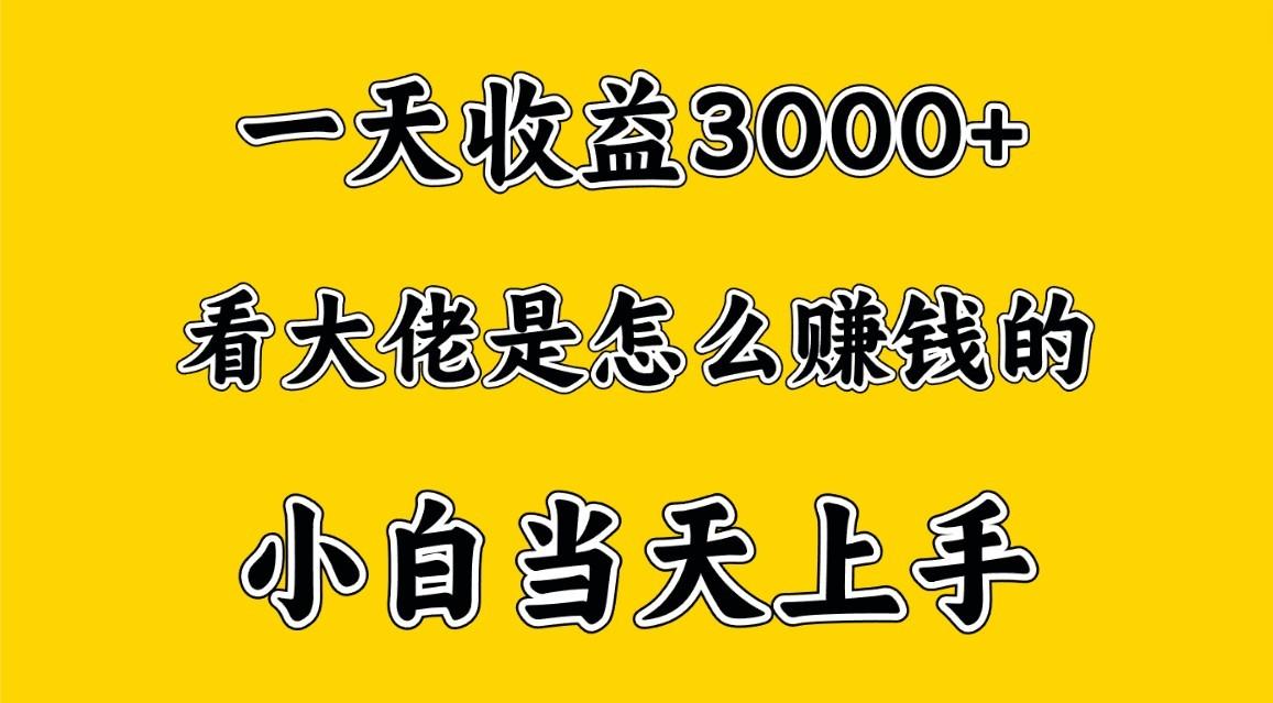 一天赚3000多，大佬是这样赚到钱的，小白当天上手，穷人翻身项目-知芽创业社