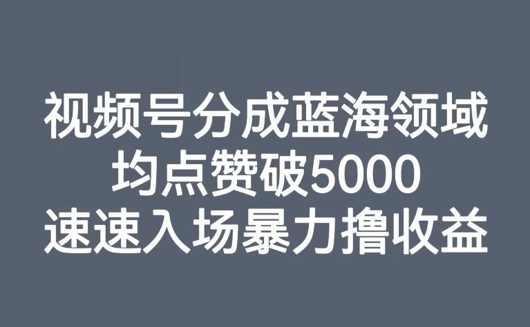 视频号分成蓝海领域，均点赞破5000，速速入场暴力撸收益-知芽创业社