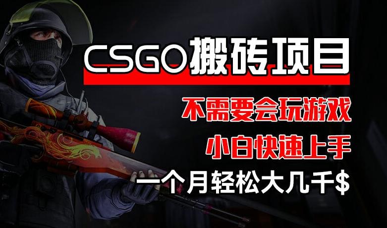 CSGO 装备搬砖项目，操作简单，不需要会玩游戏，小白也能快速上手，一个月轻松大几千【揭秘】-知芽创业社