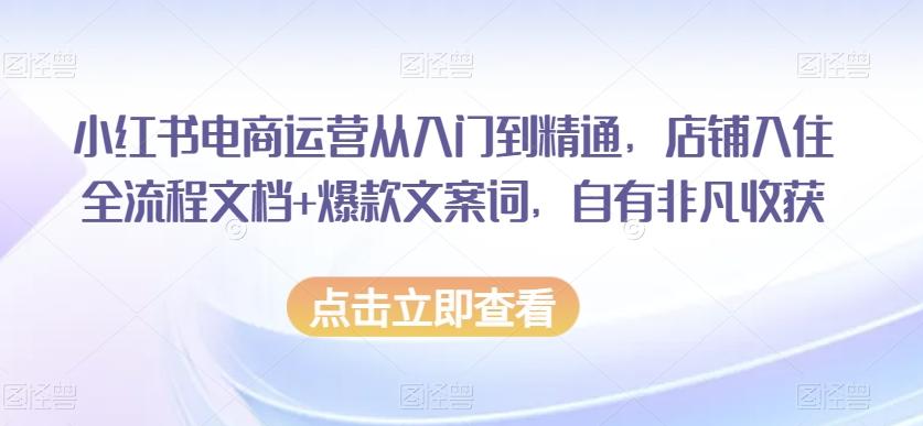 小红书电商运营从入门到精通，店铺入住全流程文档+爆款文案词，自有非凡收获-知芽创业社