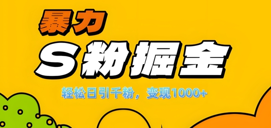 单人单机日引千粉，变现1k+，S粉流量掘金计划攻略【揭秘】-小艾项目网