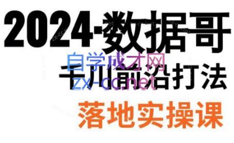 数据哥·2024年千川前沿打法落地实操课-知芽创业社