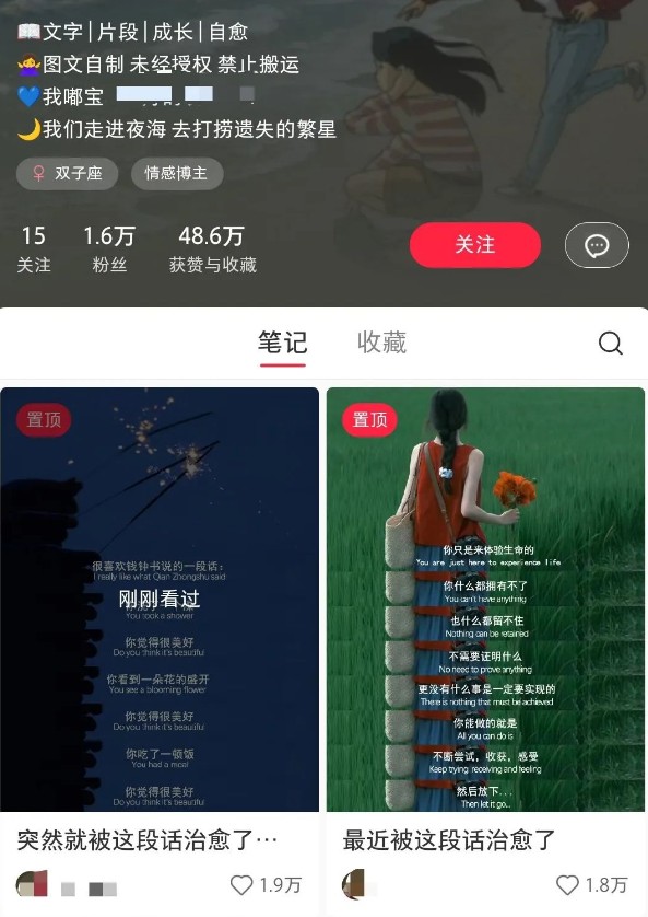 小红书治愈文案图文笔记，零门槛，一分钟制作轻松制作爆款作品月入万元-知芽创业社