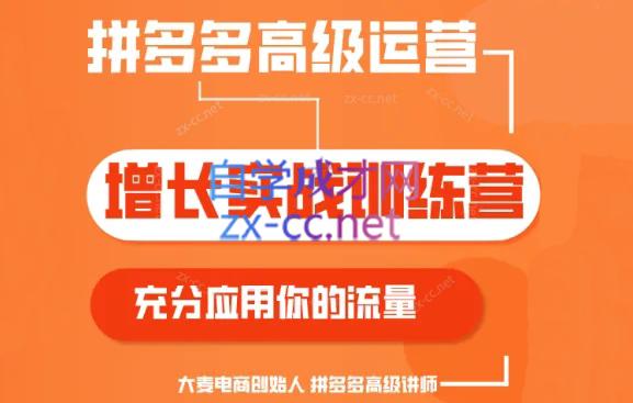 大麦老师·拼多多单品爆款打造课程(更新6月)-知芽创业社