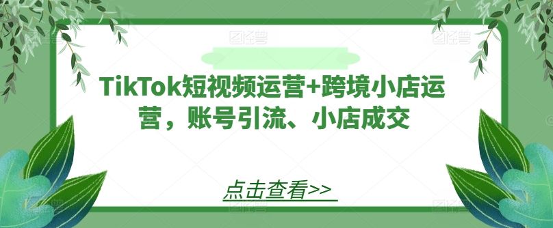 TikTok短视频运营+跨境小店运营，账号引流、小店成交-知芽创业社
