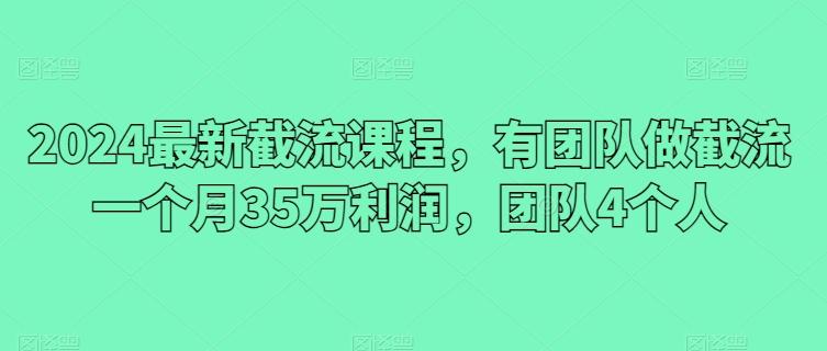 2024最新截流课程，有团队做截流一个月35万利润，团队4个人-知芽创业社
