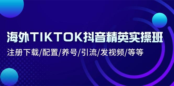 海外TIKTOK抖音精英实操班：注册下载/配置/养号/引流/发视频/等等-知芽创业社