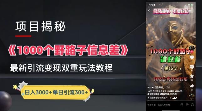 一千个野路子信息差最新玩法教程-变现+引流的玩法具体拆解【揭秘】-知芽创业社