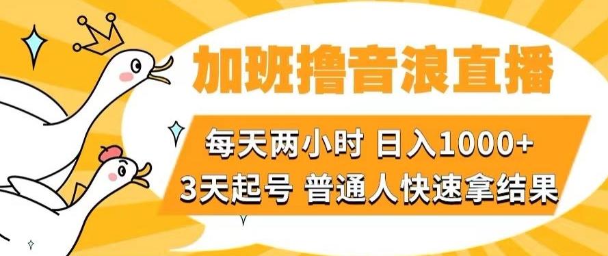 加班撸音浪直播，每天两小时，日入1000+，直播话术才3句，3天起号，普通人快速拿结果【揭秘】-知芽创业社