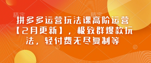 拼多多运营玩法课高阶运营【2月更新】，极致群爆款玩法，轻付费无尽复制等-知芽创业社