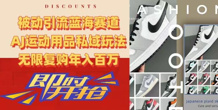被动引流蓝海赛道，AJ运动用品私域玩法，无限复购年入百万【揭秘】-知芽创业社