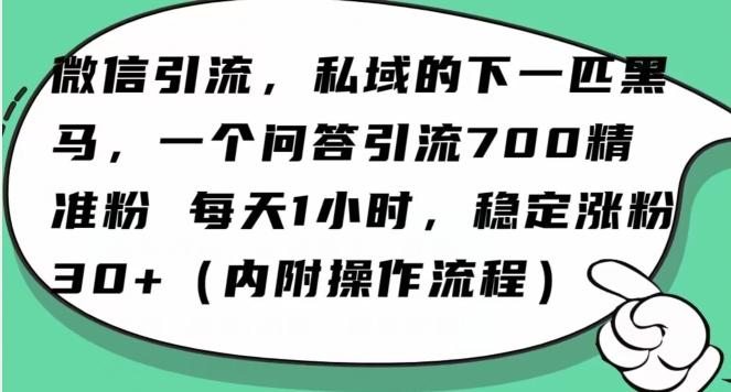 怎么搞精准创业粉？微信新赛道，每天一小时，利用Ai一个问答日引100精准粉-知芽创业社