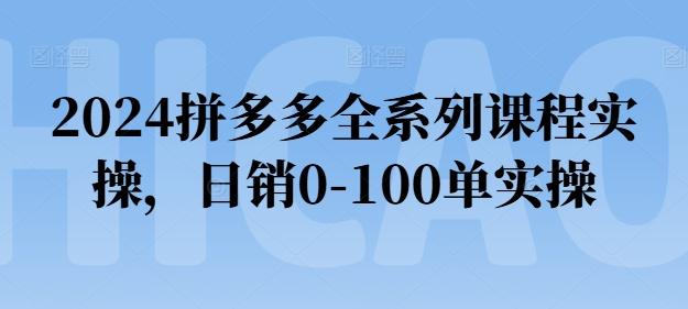 2024拼多多全系列课程实操，日销0-100单实操【必看】-知芽创业社