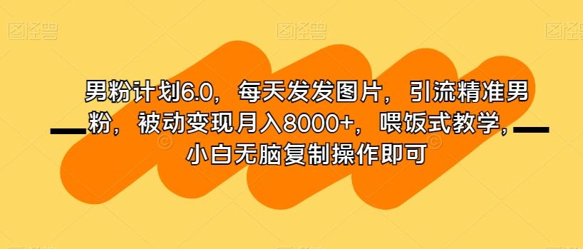 男粉计划6.0，每天发发图片，引流精准男粉，被动变现月入8000+，喂饭式教学，小白无脑复制操作即可-知芽创业社