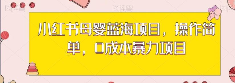 小红书母婴蓝海项目，操作简单，0成本暴力项目-知芽创业社