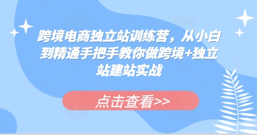 跨境电商独立站训练营，从小白到精通手把手教你做跨境+独立站建站实战-知芽创业社