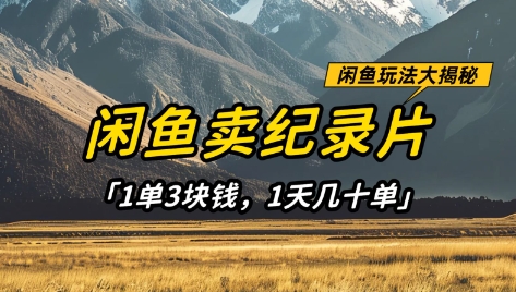 闲鱼卖纪录片1单3块钱，1天几十单，项目稳定有潜力-知芽创业社