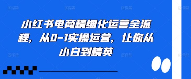 小红书电商精细化运营全流程，从0-1实操运营，让你从小白到精英-知芽创业社