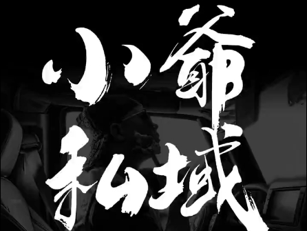 小爷·私域项目操盘手-知芽创业社