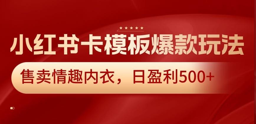 小红书卡模板爆款玩法，售卖情趣内衣，日盈利500+【揭秘】-知芽创业社