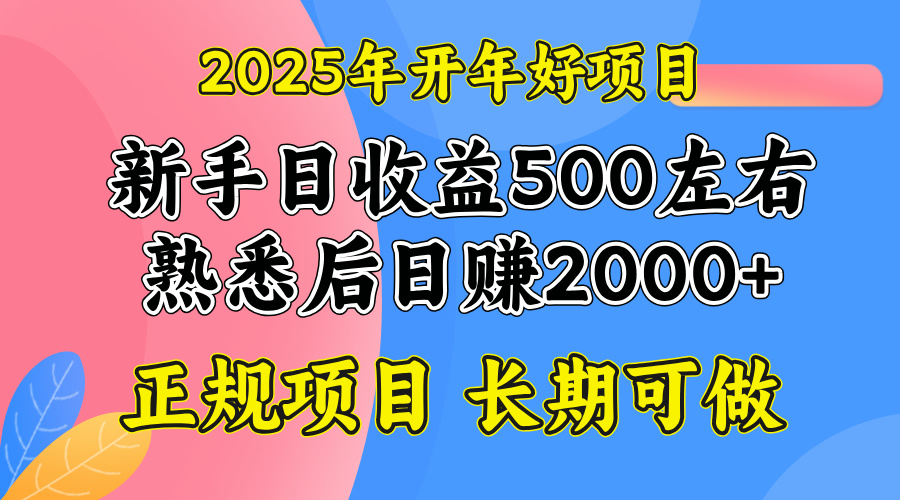 2025开年好项目，单号日收益2000左右-知芽创业社