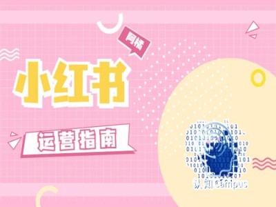 小红书运营指南，没有套路，全是经验-知芽创业社