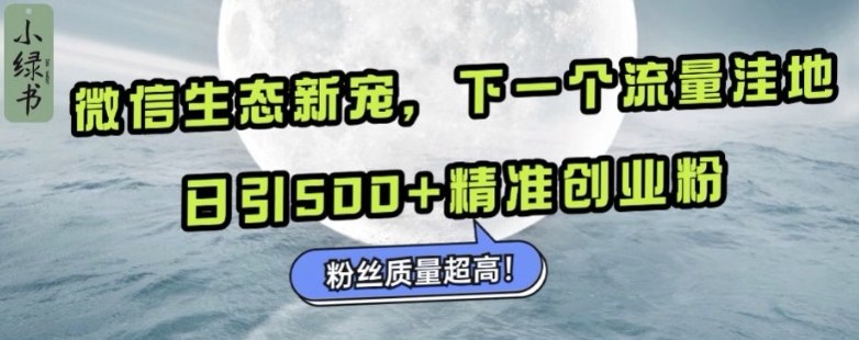 微信生态新宠小绿书：下一个流量洼地，日引500+精准创业粉，粉丝质量超高-小艾项目网