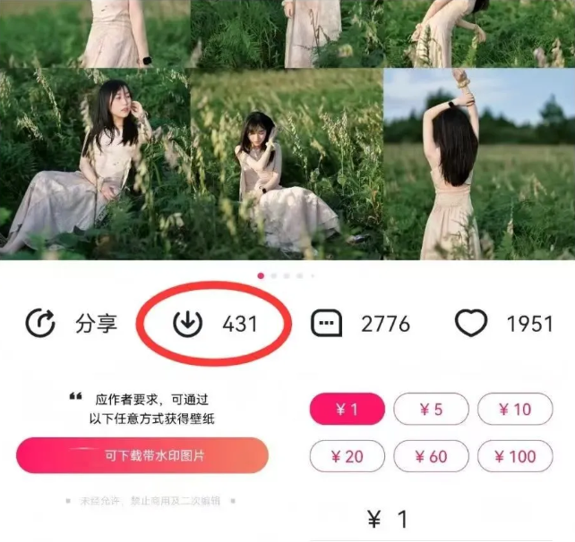 最新图虫搬运项目，收益无上限，利用AI小白也可日赚500+-知芽创业社