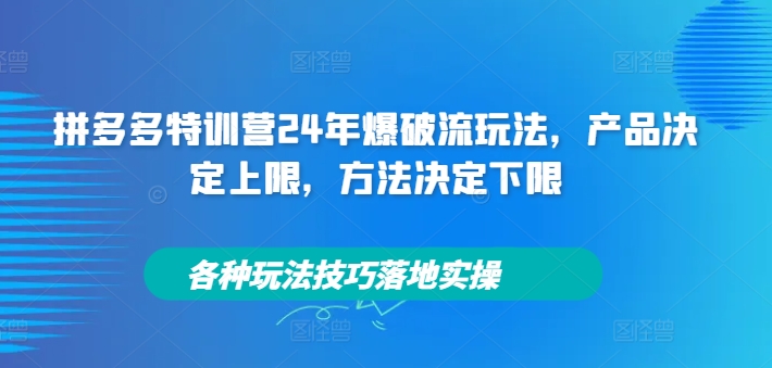 拼多多特训营24年爆破流玩法，产品决定上限，方法决定下限，各种玩法技巧落地实操-知芽创业社