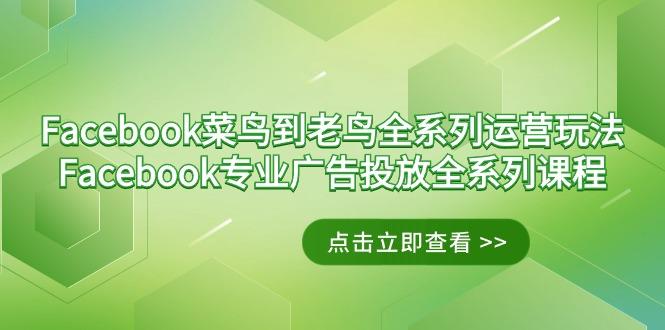 Facebook-菜鸟到老鸟全系列运营玩法+Facebook-专业广告投放全系列课程-知芽创业社