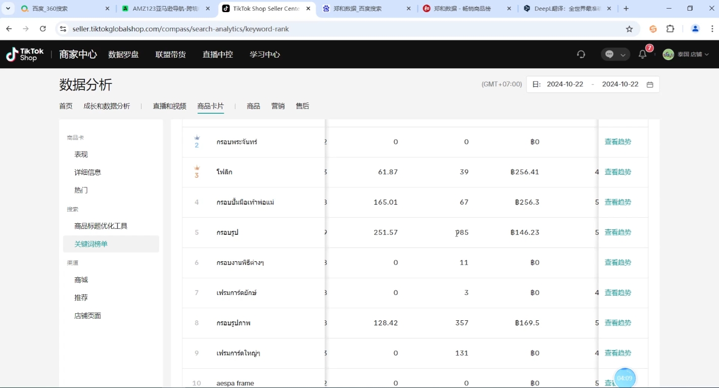 大鱼老师·Tiktok东南亚小店运营-知芽创业社