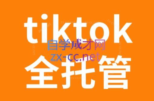 TikTok跨境电商全托管运营模式精品课-知芽创业社