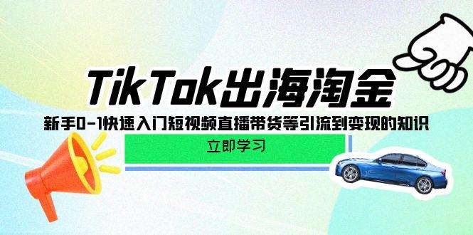 (10035期)TikTok-出海淘金，新手0-1快速入门短视频直播带货等引流到变现的知识-知芽创业社