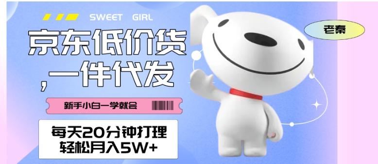 每天20分钟打理京东低价货，一件代发-轻松月入5W＋-知芽创业社