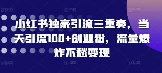 小红书独家引流三重奏，当天引流100+创业粉，流量爆炸不愁变现【揭秘】-知芽创业社