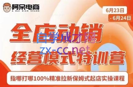 阿呆电商·全店动销经营模式特训营(线下录音+思维导图)-知芽创业社