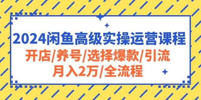 2024闲鱼高级实操运营课程：开店/养号/选择爆款/引流/月入2万/全流程-知芽创业社