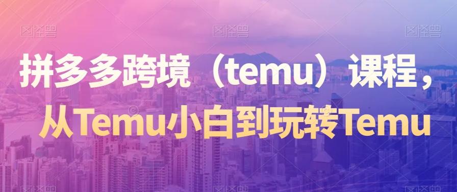 拼多多跨境（temu）课程，从Temu小白到玩转Temu-知芽创业社