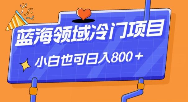 蓝海领域冷门赛道，一单39.9，日入800＋-知芽创业社