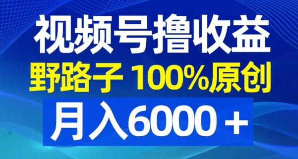 视频号野路子撸收益，100%原创，条条爆款，月入6000＋【揭秘】-知芽创业社