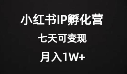 价值2000+的小红书IP孵化营项目，超级大蓝海，七天即可开始变现，稳定月入1W+-知芽创业社