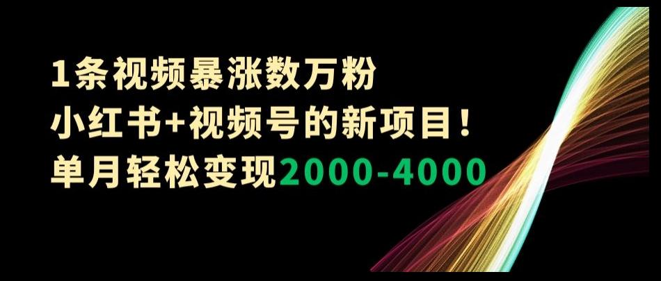 1条视频暴涨数万粉–小红书+视频号的新项目！单月轻松变现2000-4000【揭秘】-知芽创业社