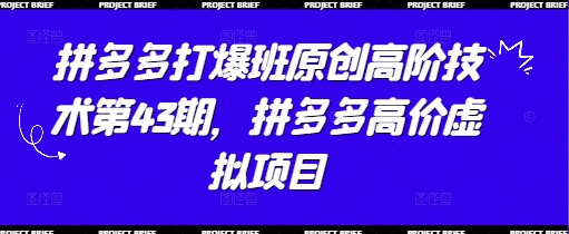 拼多多打爆班原创高阶技术第43期，拼多多高价虚拟项目-知芽创业社