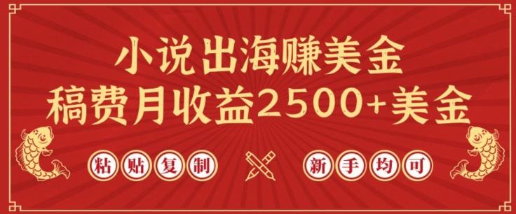 小说出海赚美金，稿费月收益2500+美金，仅需chatgpt粘贴复制，新手也能玩转【揭秘】-知芽创业社