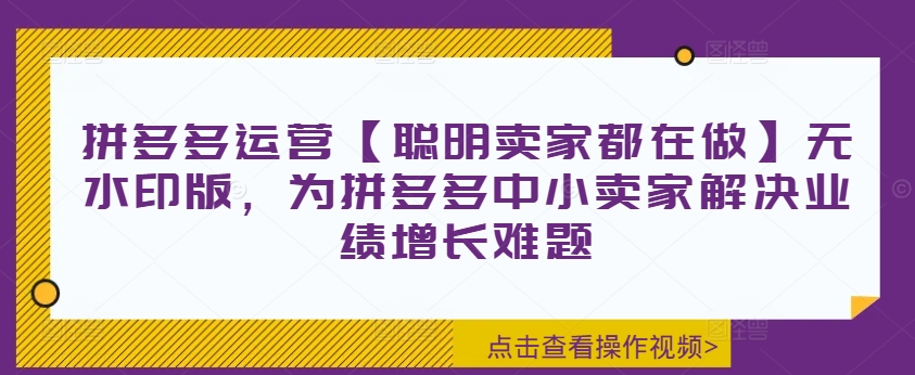 拼多多运营【聪明卖家都在做】无水印版，为拼多多中小卖家解决业绩增长难题-知芽创业社