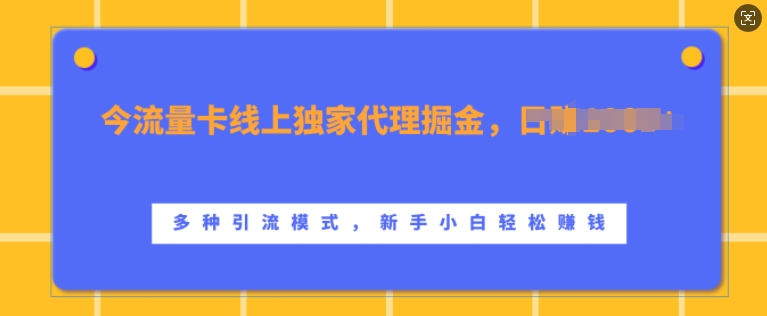 流量卡线上独家代理掘金，日入1k+ ，多种引流模式，新手小白轻松上手【揭秘】-知芽创业社