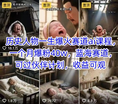 历史人物一生爆火赛道ai课程，一个月爆粉40w，蓝海赛道，可过伙伴计划，收益可观-知芽创业社