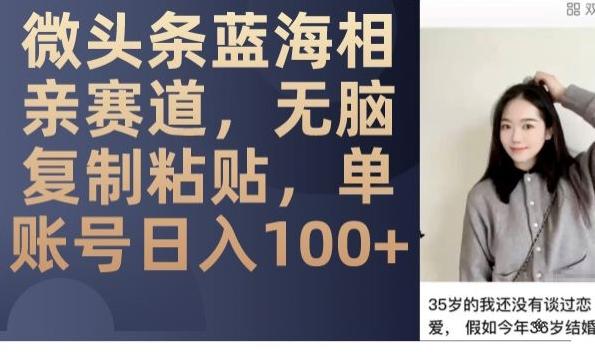 微头条蓝海相亲赛道，无脑复制粘贴，单账号日入100+-知芽创业社