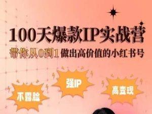小红书100天爆款IP实战营，带你从0到1做出高价值的小红书号-知芽创业社