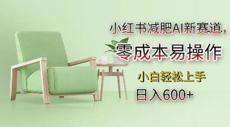 小红书减肥AI新赛道，零成本易操作，日入多张，小白轻松上手【揭秘】-知芽创业社